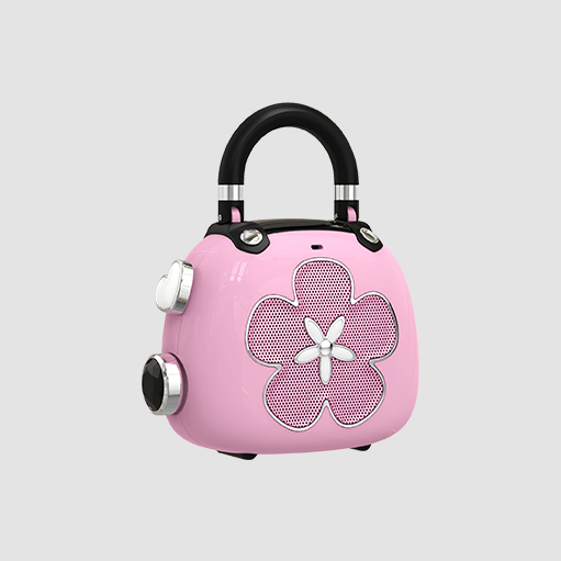 WB262 便携式蓝牙音箱